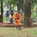 Cortes de pasto en plazas y plazoletas, un trabajo diario para mantener la ciudad limpia y ordenada